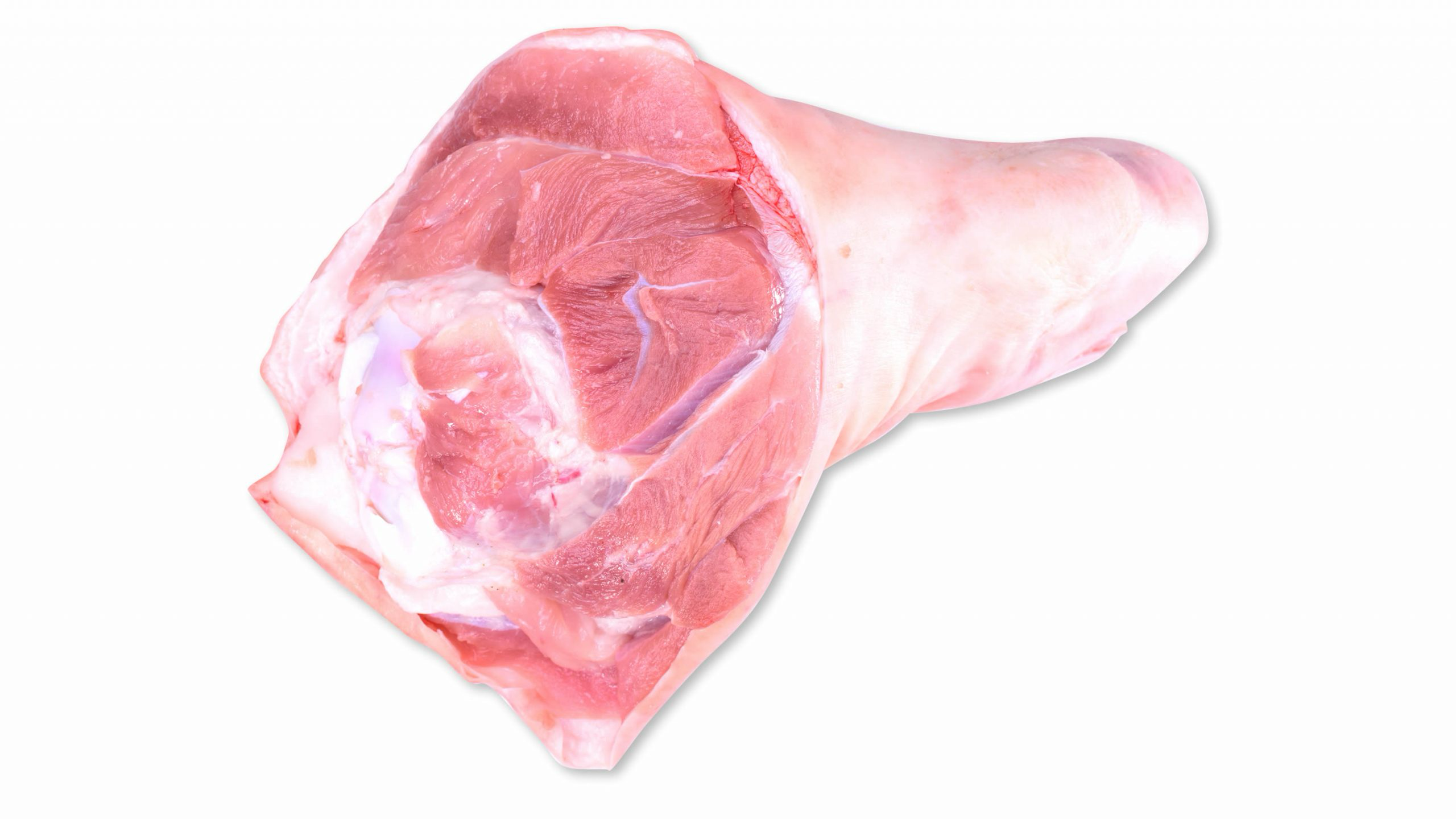 pernil
